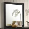 CoasterEssence 201324 Sandy Beach - Dresser Mirror - Black