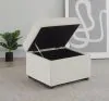 Coaster Fine Furniture 904134 Winter - Upholstered Hydraulic Lift Top Storage Ottoman - Beige