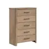 New Classic B2123-070 Anika - 5 Drawer Chest - Natural / Brown