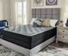 Sierra Sleep® by Ashley M50931 Sierra Sleep® by Ashley M50931 Comfort Plus - Queen Mattress - 59
