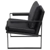 Coaster Fine Furniture 903021 Rosalind - Upholstered Track Arm Accent Chair - Black