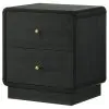 Coaster Fine Furniture 223662 Cavelle - 2-Drawer Nightstand Bedside Table - Black