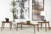 CoasterEssence 753524 Radley - 3 Piece Rectangular Coffee Table Set - Natural Walnut