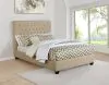 CoasterEssence 300007Q Chloe - Upholstered Queen Panel Bed - Oatmeal