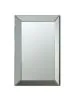 CoasterEveryday 901783 Pinciotti - Beveled Frame Wall Mirror - Silver