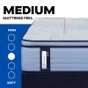 Tempur Sealy 53199351 Tempur Sealy 53199351 Posturepedic Plus - Paterson II Euro Pillow Top Medium Mattress - Queen