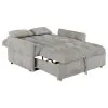 CoasterEssence 508307 Cotswold - Upholstered Convertible Sleeper Sofa Bed - Light Gray