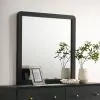 Coaster Fine Furniture 223664 Cavelle - Dresser Mirror - Black