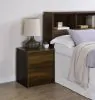 Coaster Fine Furniture 315882 Westpark - 2-Drawer Nightstand LED Lights And USB - Dark Pine