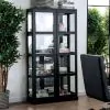 Furniture of America CM-CR140BK Vilas - Curio Cabinet - Black