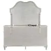 CoasterElevations 223393M Evangeline - 9-Drawer Dresser With Mirror - Silver Oak