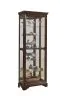 Pulaski Furniture 21308 PFC Curios - Mirrored 5 Shelf Gallery Curio Cabinet - Oak Brown