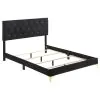 CoasterEveryday 224451KE Kendall - Upholstered King Panel Bed - Black