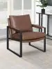 CoasterEveryday 904112 Rosalind - Upholstered Track Arm Accent Chair - Brown