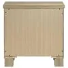 Coaster Fine Furniture 225102 Oakglen - 2-Drawer Nightstand Bedside Table - Weathered Oak