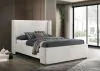 Coaster Fine Furniture 310078Q Alamosa - Boucle Upholstered Queen Wingback Bed - White