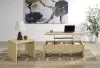 Coaster Fine Furniture 706348-S2 Canoga - 2 Piece Lift Top Cocktail Coffee Table Set - Light Oak