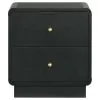 Coaster Fine Furniture 223662 Cavelle - 2-Drawer Nightstand Bedside Table - Black