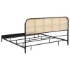 Coaster Fine Furniture 360351KE Amherst - Radio Weave Rattan Metal Eastern King Bed - Black