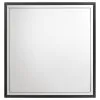 Coaster Fine Furniture 224994 Lucia - Dresser Mirror - Black