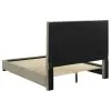 Coaster Fine Furniture 315911TANQ Medley - Genuine Leather Queen Panel Platform Bed - Tan
