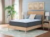 Sierra Sleep® by Ashley M33111 Sierra Sleep® by Ashley M33111 Destin Cove Plush - Twin Mattress - Blue
