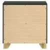 Coaster Fine Furniture 224782 Caraway - 2-Drawer Nightstand - Black