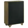 Coaster Fine Furniture 224275 Amsbury - 5-Drawer Chest Of Drawers - Nutmeg