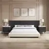 ACME BD04242Q Clayten - Queen Bed - Beige / Espresso