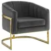 CoasterElevations 903039 Alamor - Upholstered Barrel Back Accent Chair - Dark Gray