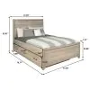 Samuel Lawrence Furniture S496-YBR-K10 River Creek - Twin Panel Bed with Trundle - River Birch Brown