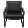 Coaster Fine Furniture 903021 Rosalind - Upholstered Track Arm Accent Chair - Black