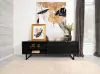 Coaster Fine Furniture 703003 Marsden - 2 Door Mango Wood TV Stand - Charcoal Black