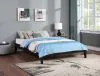 CoasterEveryday 306129Q Hounslow - Queen Universal Platform Bed - Black