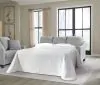 Ashley Furniture 3010339 Adlai - Queen Sofa Sleeper - Shadow