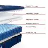 Tempur Sealy 53200140 Tempur Sealy 53200140 Posturepedic Elite - Albany II Euro Pillow Top Soft Mattress - Full