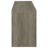 CoasterEssence 701024 Burke - 2-Drawer Engineered Wood TV Stand - Gray Driftwood