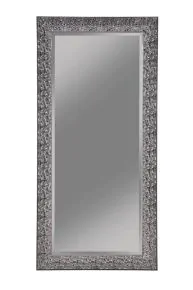 CoasterEveryday 901999 Rollins - Rectangular Floor Mirror - Black