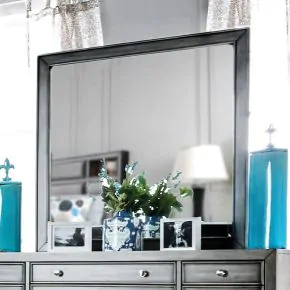 Furniture of America CM7556M Daphne - Mirror - Gray