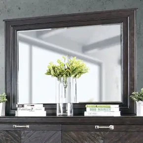 Furniture of America CM7315M Argyros - Mirror - Espresso