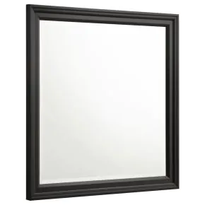 CoasterEssence 201324 Sandy Beach - Dresser Mirror - Black
