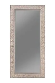 CoasterEveryday 901997 Rollins - Rectangular Floor Mirror - Silver