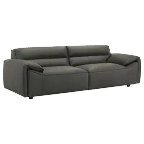 Coaster Fine Furniture 509504 Buxton - Top Grain Leather Upholstered Sofa - Graphite