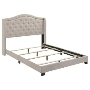 CoasterEssence 310073KE Sonoma - Upholstered Eastern King Wingback Bed - Beige