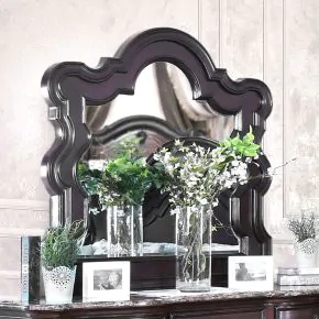 Furniture of America CM7859M Arcturus - Mirror - Brown Cherry