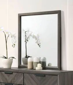 Furniture of America CM7472GY-M Vagan - Mirror