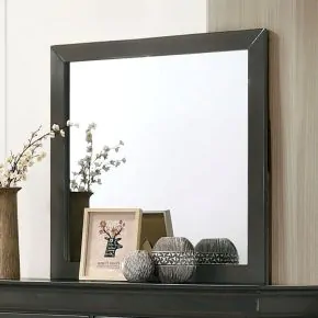 Furniture of America CM7966GY-M Louis Philippe - Mirror - Gray