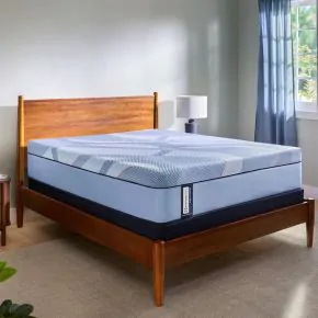Sealy 53204431/53204431 Sealy 53204431/53204431 Posturepedic Pro - Dupont II Medium Mattress - Split King