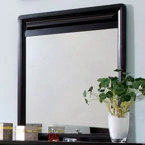 Furniture of America CM7058M Winsor - Mirror - Espresso
