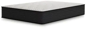 Sierra Sleep® by Ashley M41121 Sierra Sleep® by Ashley M41121 Limited Edition Plush - Full Mattress - White